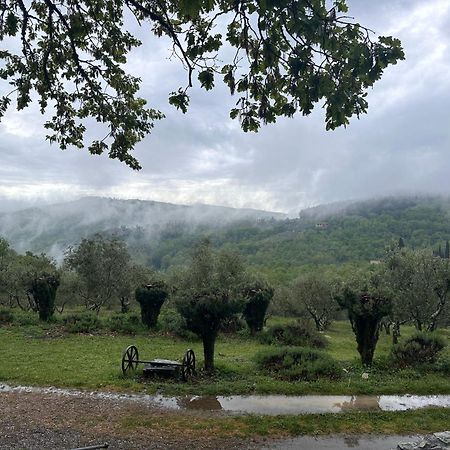 Podere Sagna Кастелліна-ін-К'янті Екстер'єр фото