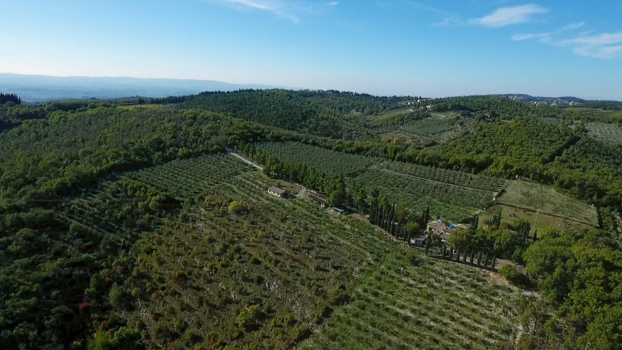 Podere Sagna Кастелліна-ін-К'янті Екстер'єр фото