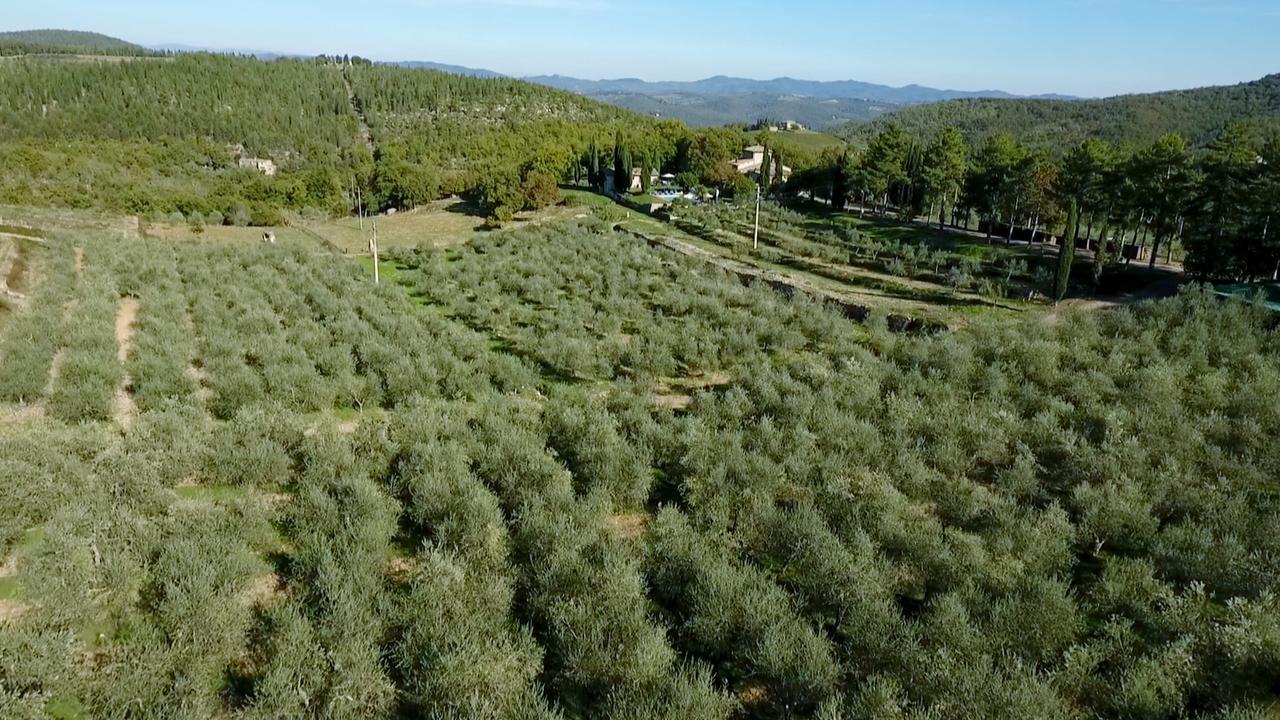 Podere Sagna Кастелліна-ін-К'янті Екстер'єр фото